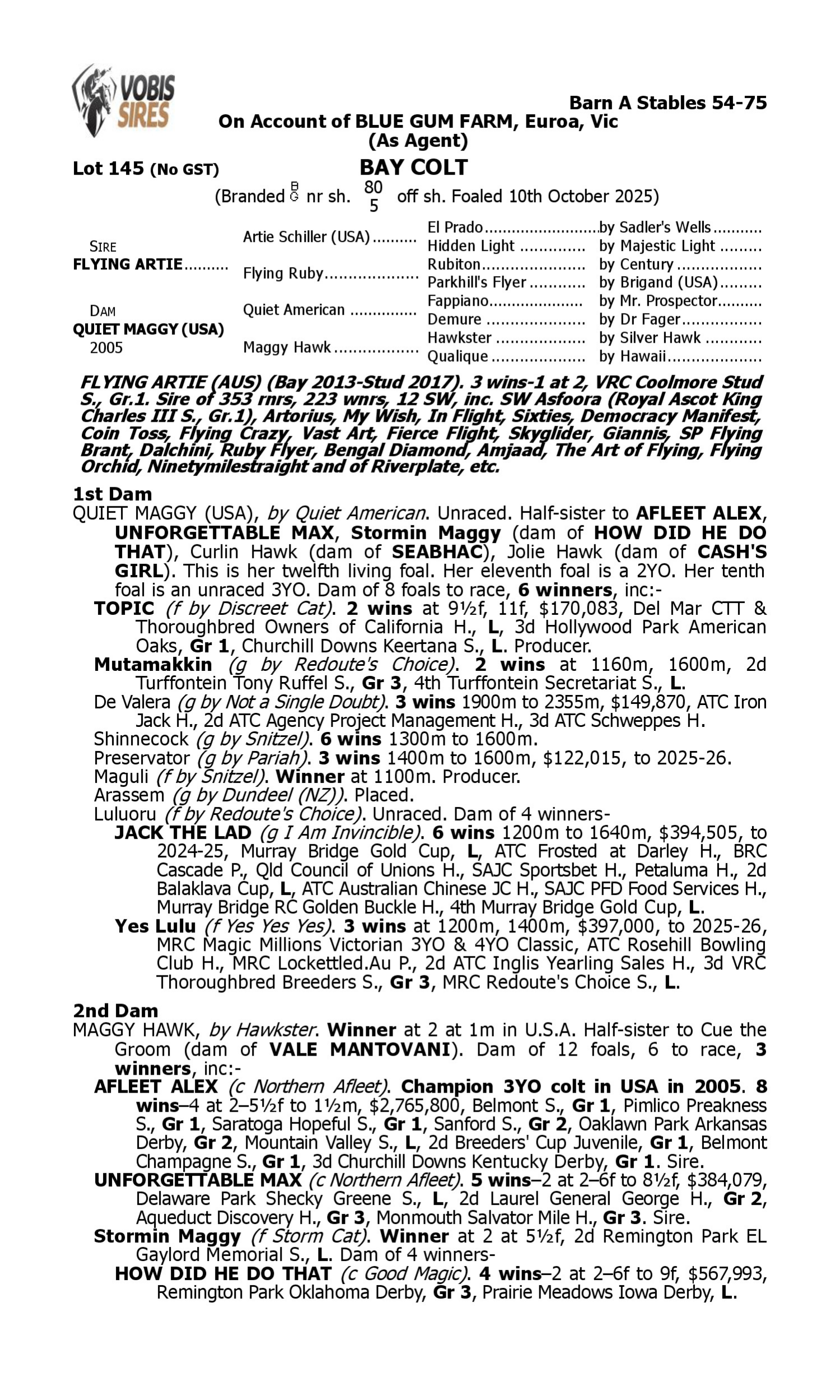 Pedigree for Lot 145 Flying Artie - Quiet Maggy (USA)
