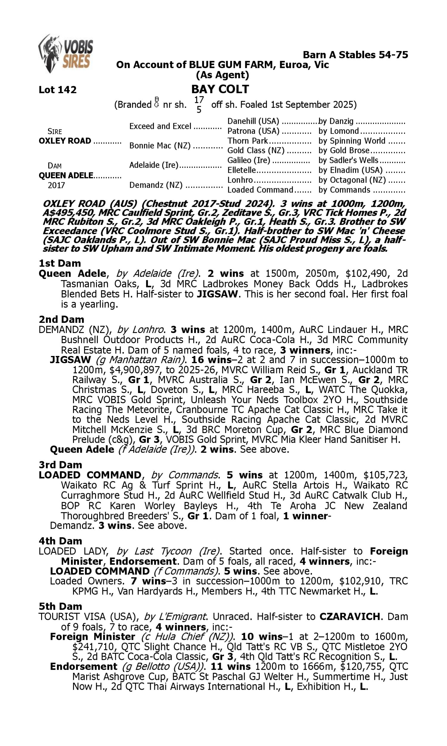 Pedigree for Lot 142 Oxley Road - Queen Adele