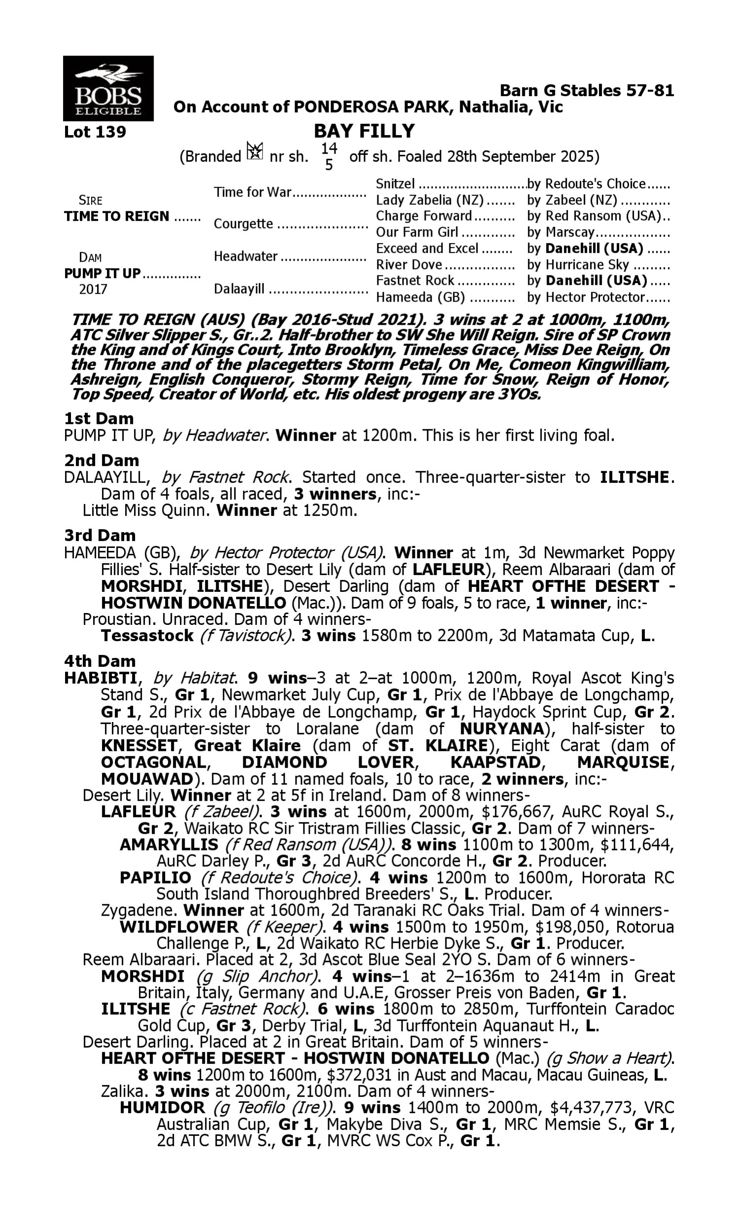 Pedigree for Lot 139 Time to Reign - Pump it Up