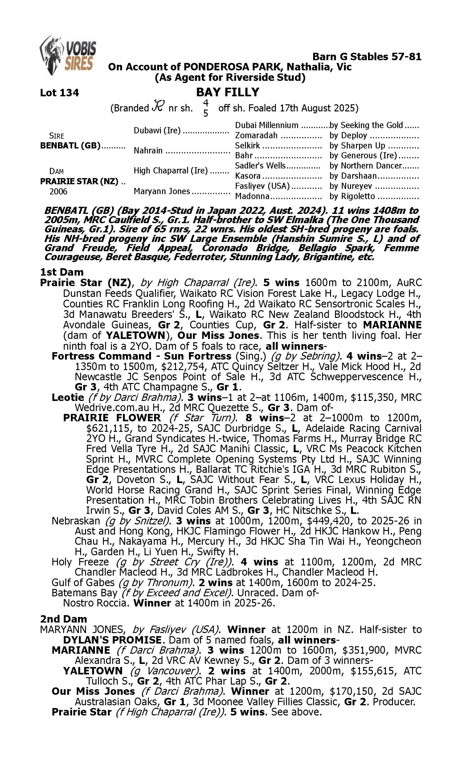 Pedigree for Lot 134 Benbatl (GB) - Prairie Star (NZ)