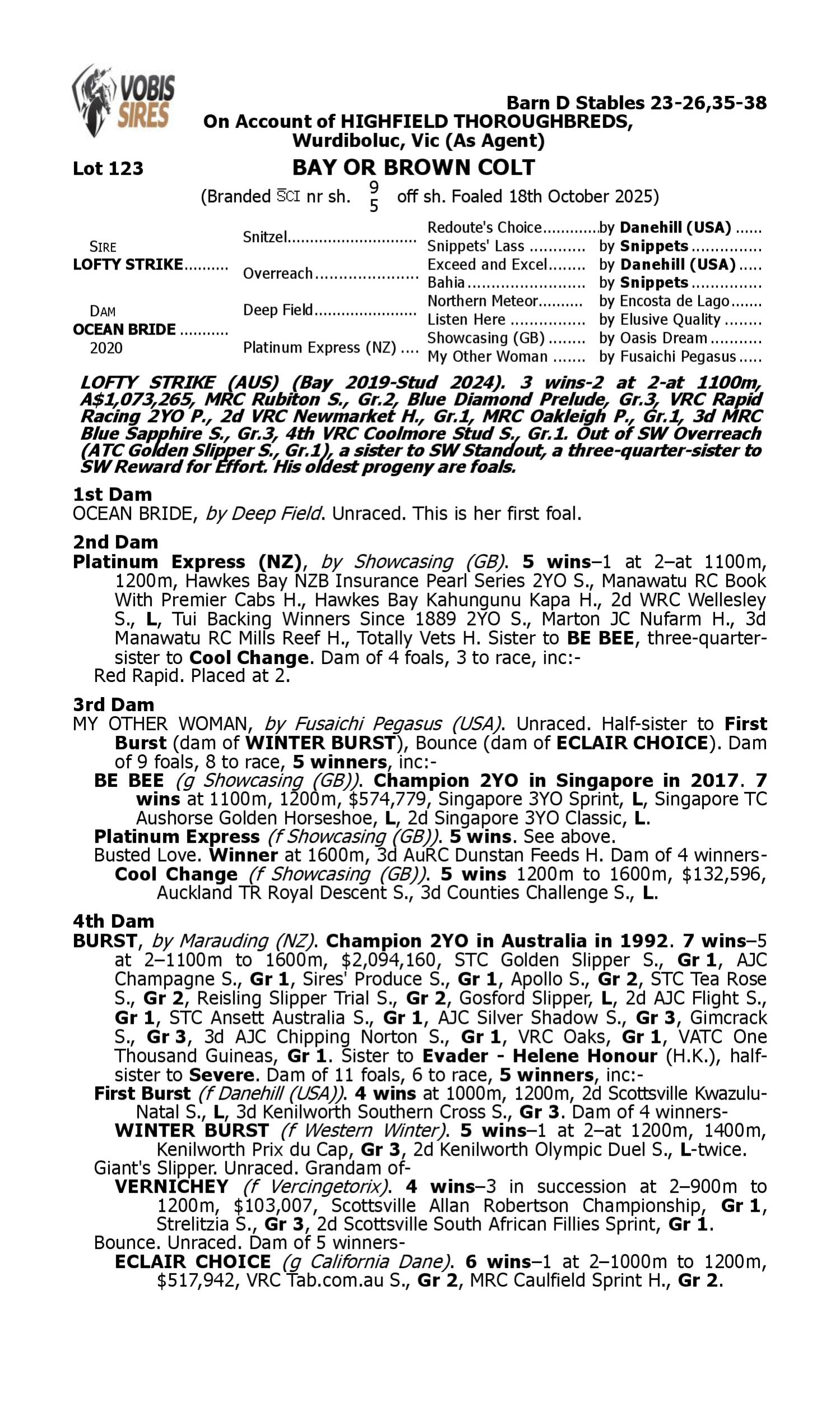 Pedigree for Lot 123 Lofty Strike - Ocean Bride