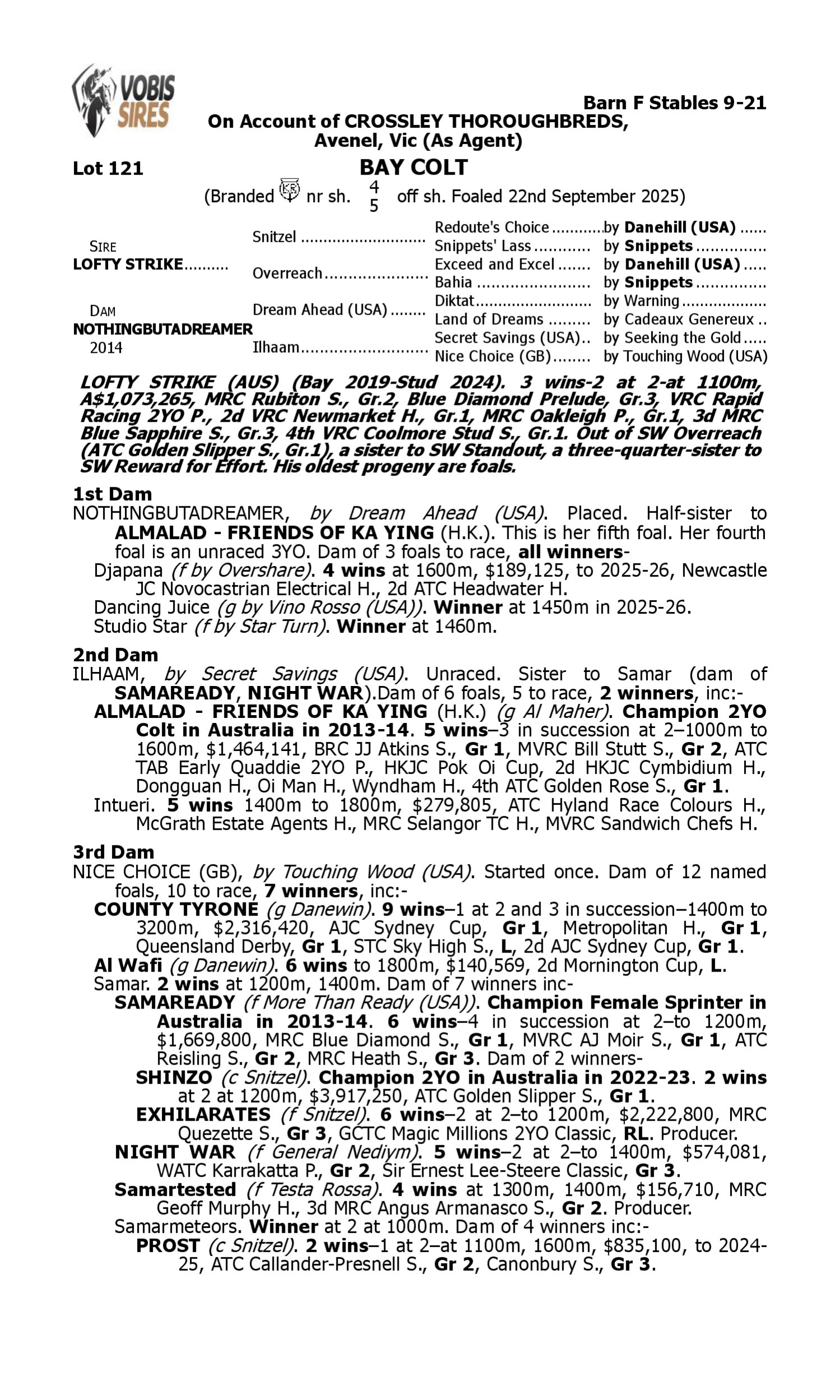 Pedigree for Lot 121 Lofty Strike - Nothingbutadreamer