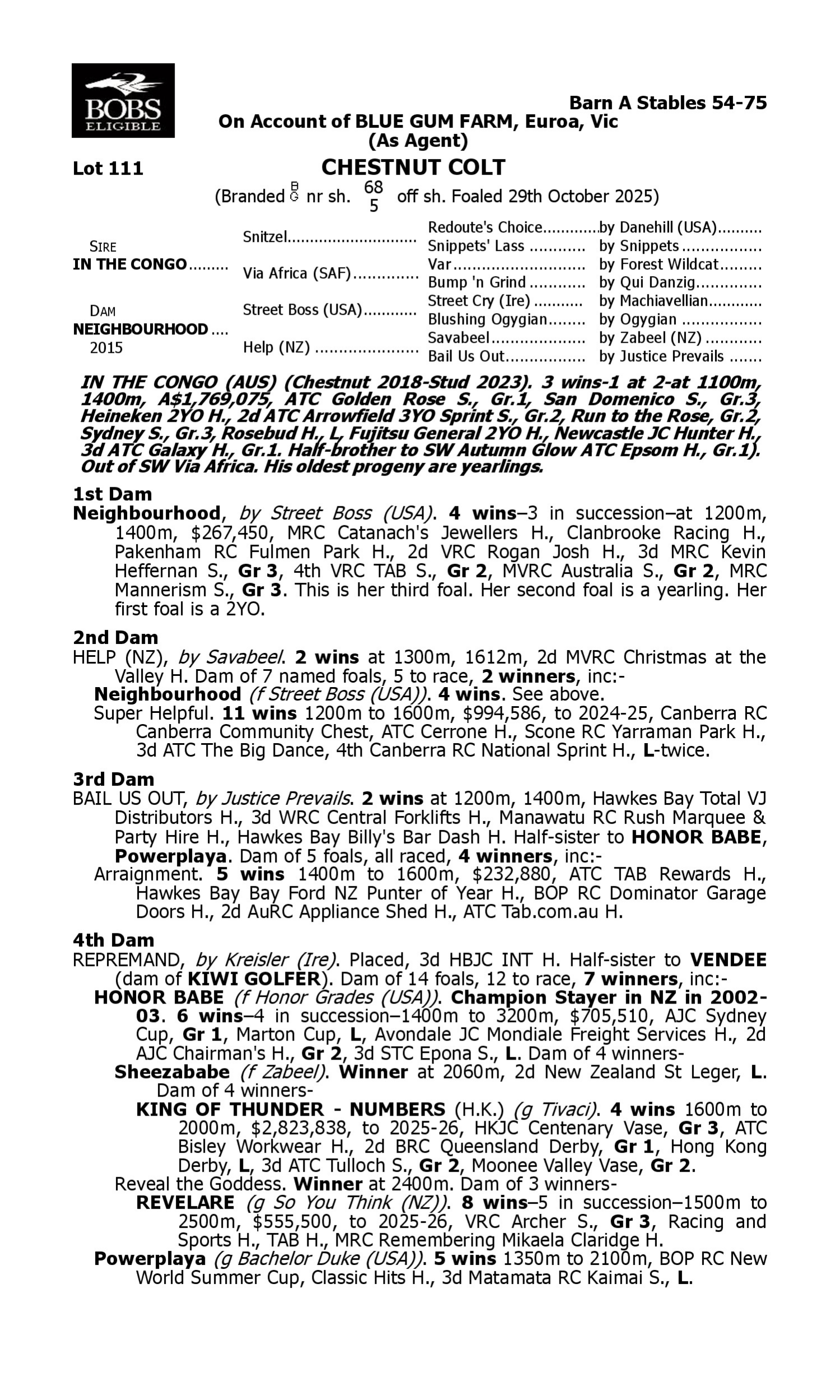 Pedigree for Lot 111 In the Congo - Neighbourhood