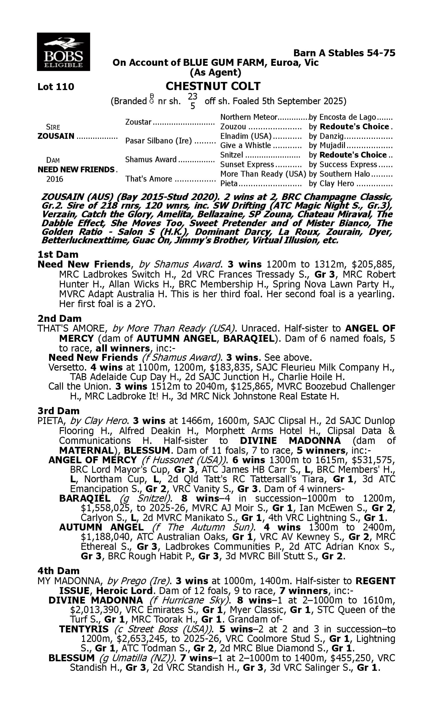 Pedigree for Lot 110 Zousain - Need New Friends