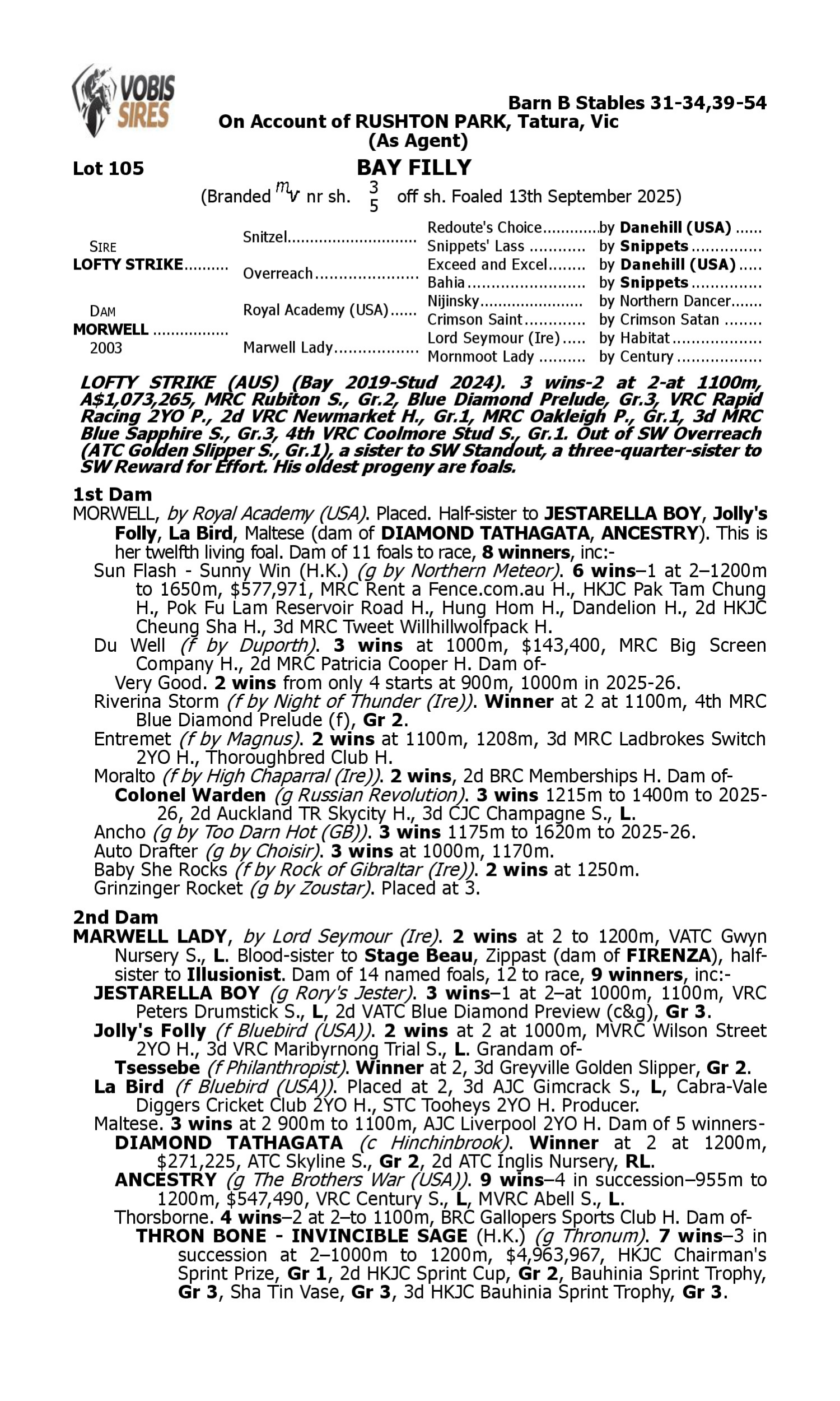 Pedigree for Lot 105 Lofty Strike - Morwell