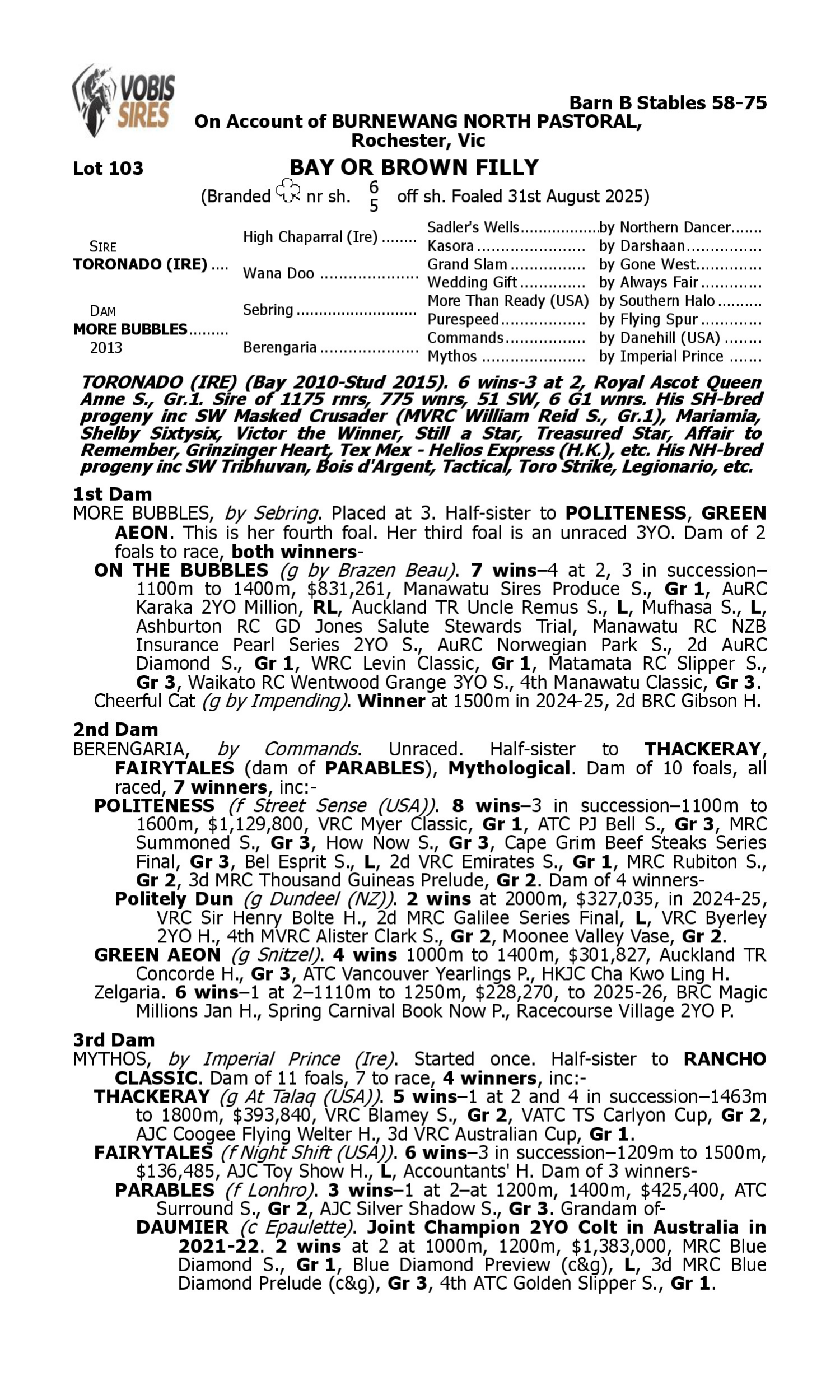 Pedigree for Lot 103 Toronado (IRE) - More Bubbles