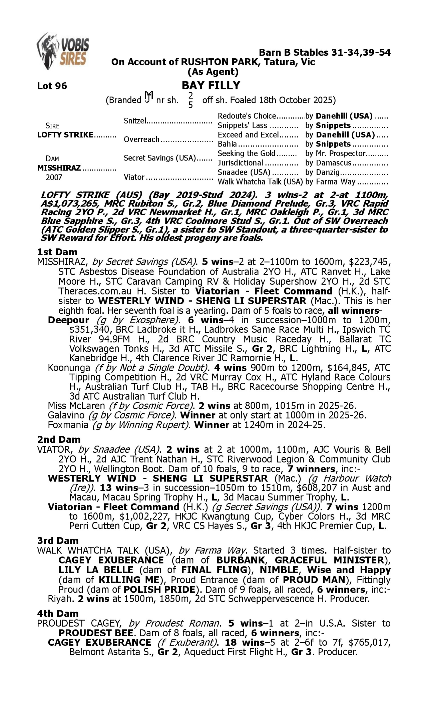 Pedigree for Lot 96 Lofty Strike - Misshiraz