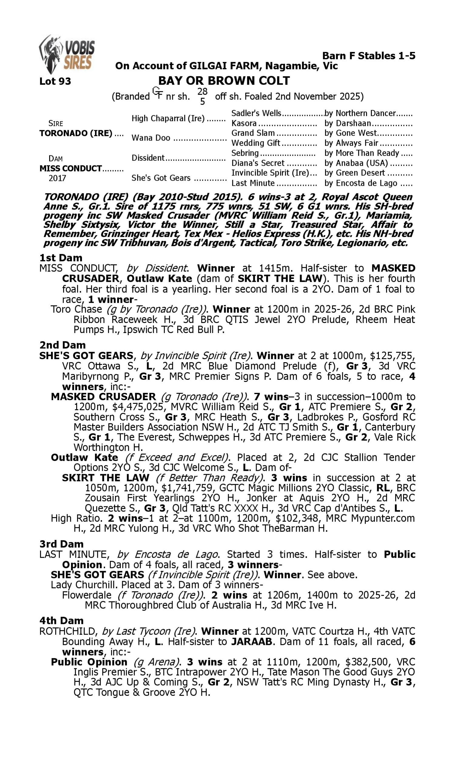 Pedigree for Lot 93 Toronado (IRE) - Miss Conduct
