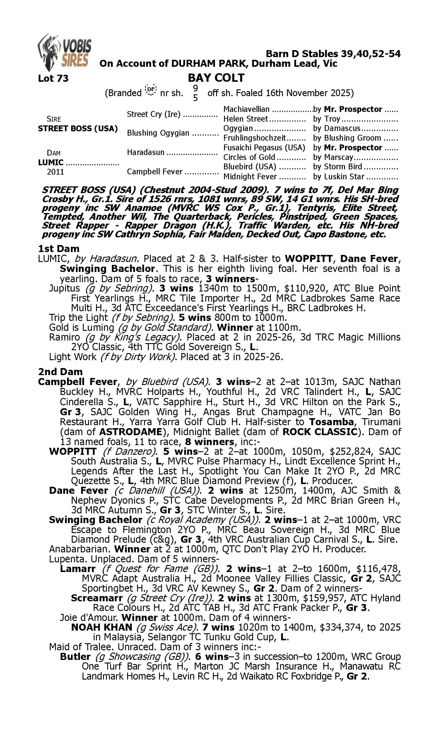 Pedigree for Lot 73 Street Boss (USA) - Lumic