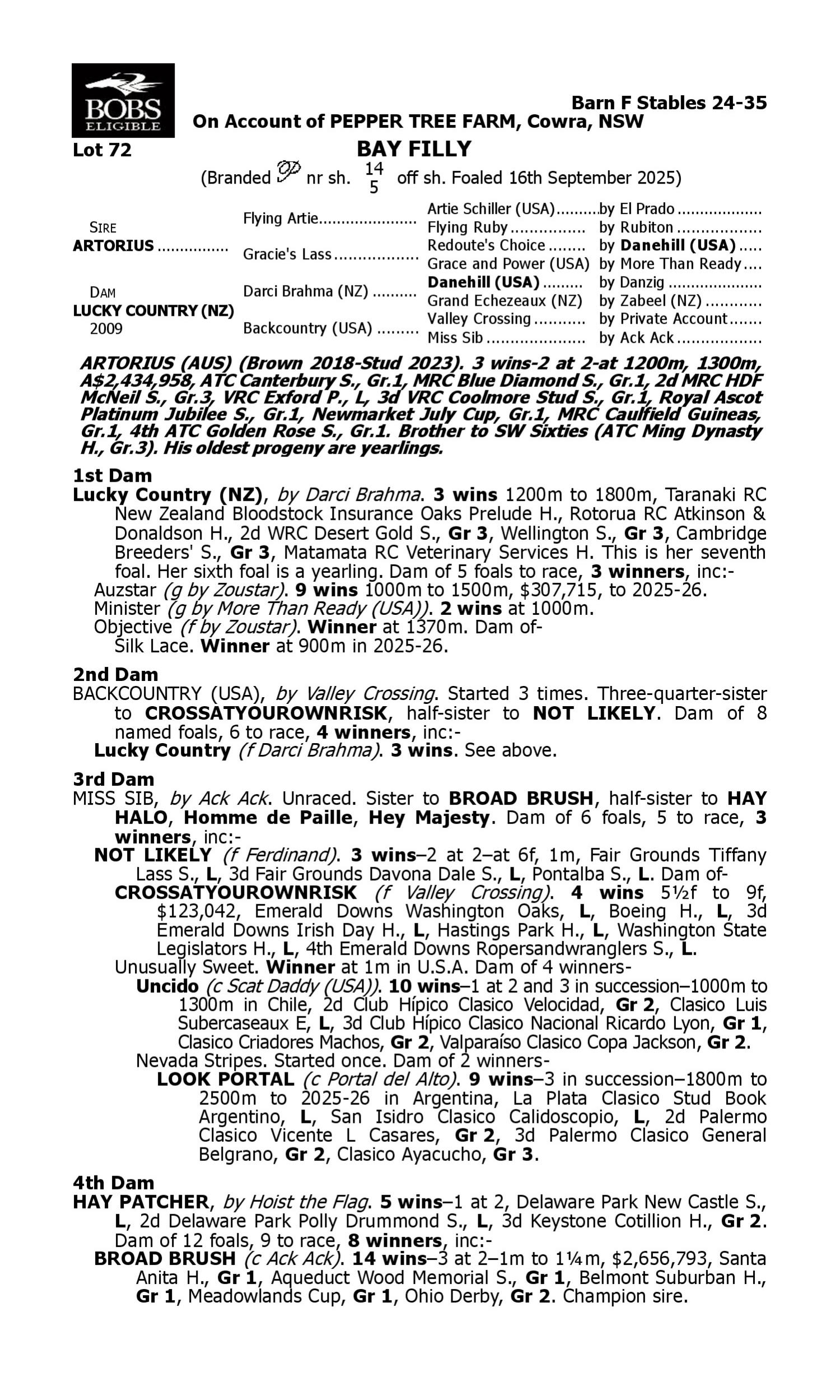 Pedigree for Lot 72 Artorius - Lucky Country (NZ)