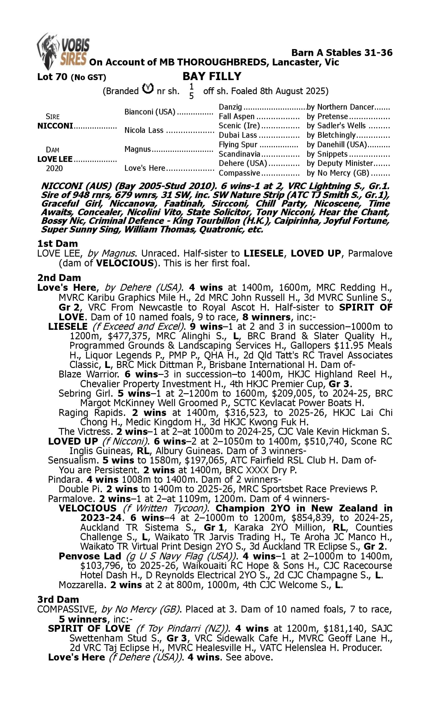 Pedigree for Lot 70 Nicconi - Love Lee