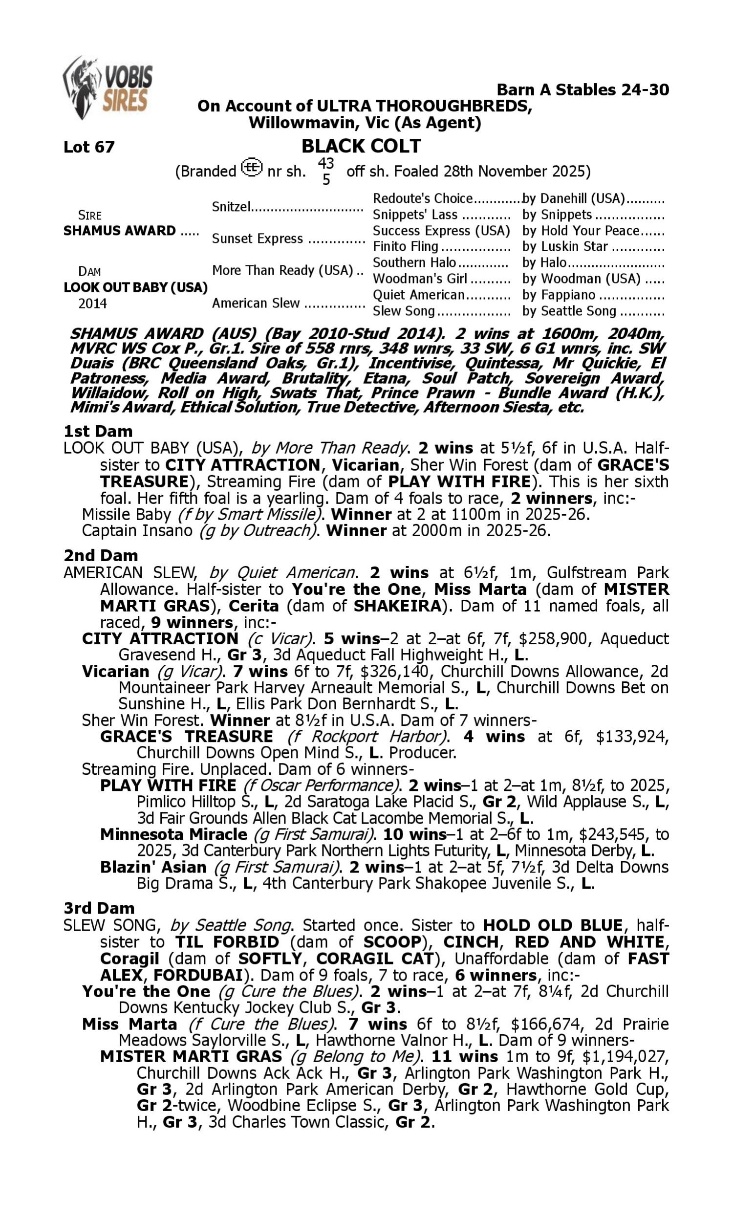 Pedigree for Lot 67 Shamus Award - Look Out Baby (USA)