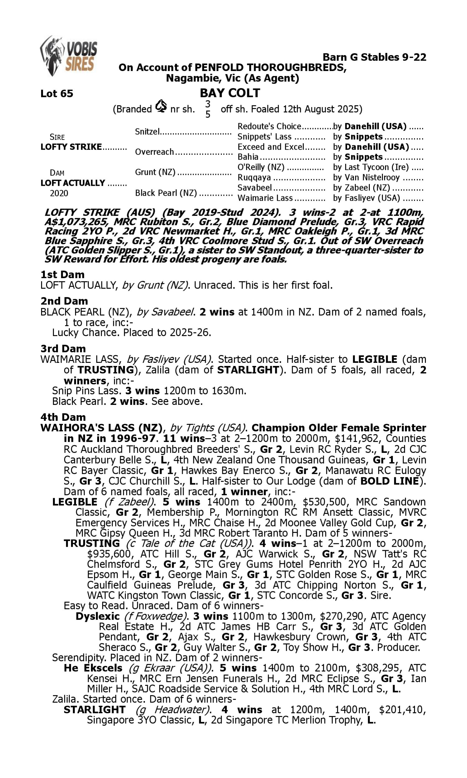 Pedigree for Lot 65 Lofty Strike - Loft Actually