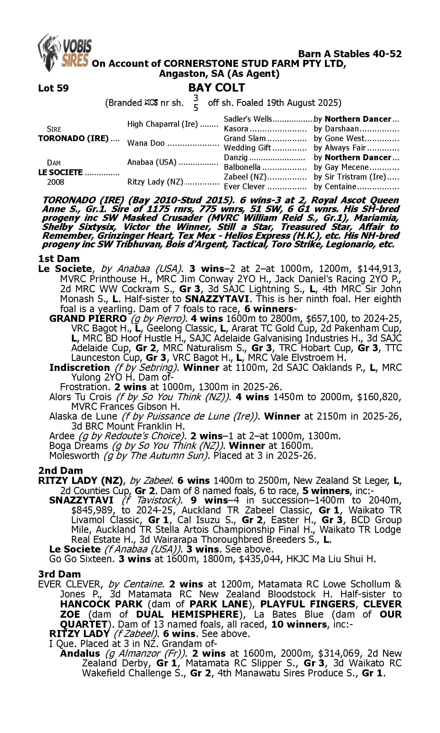 Pedigree for Lot 59 Toronado (IRE) - Le Societe