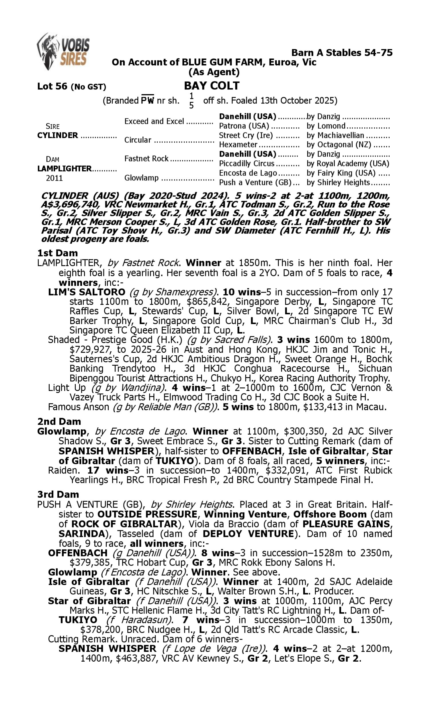 Pedigree for Lot 56 Cylinder - Lamplighter
