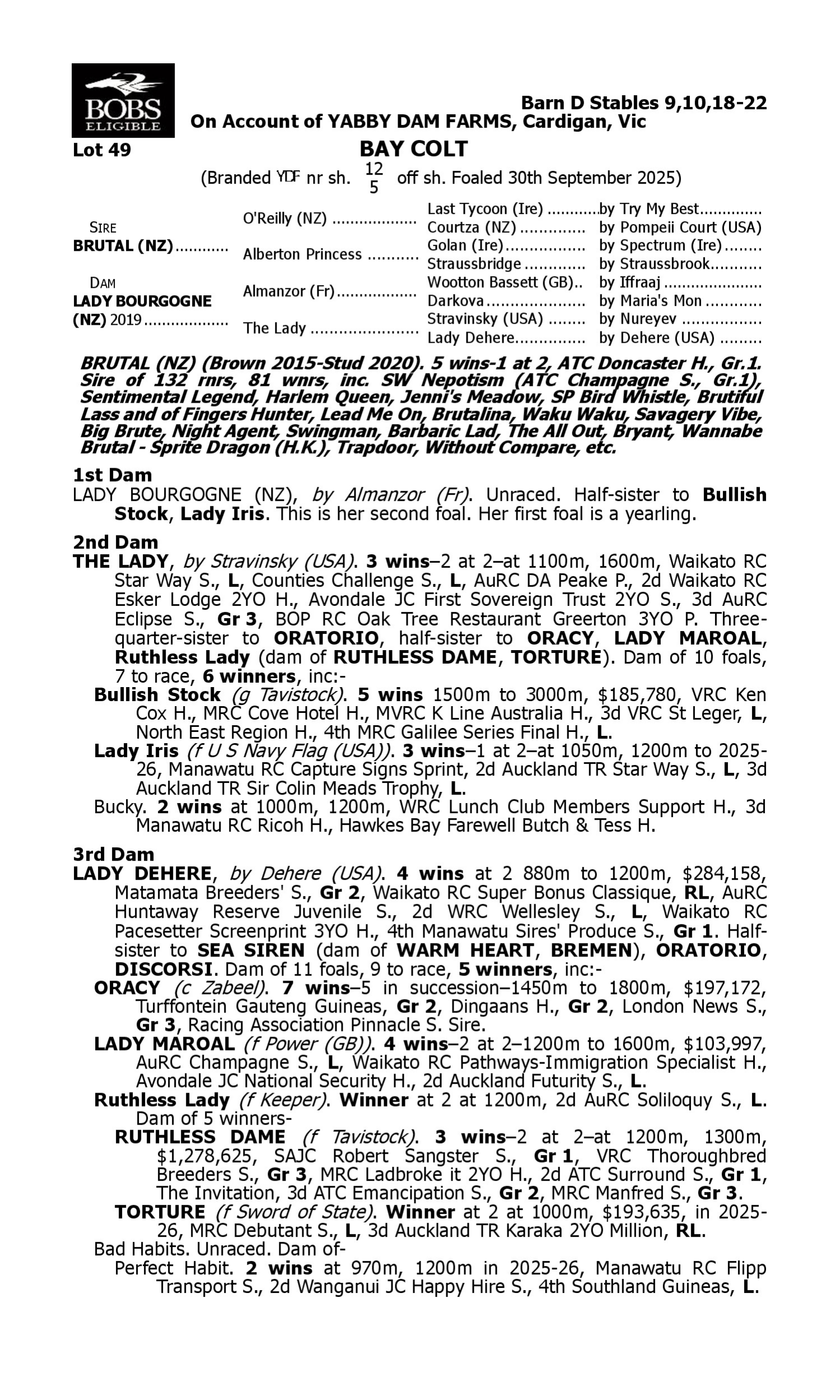 Pedigree for Lot 49 Brutal (NZ) - Lady Bourgogne (NZ)