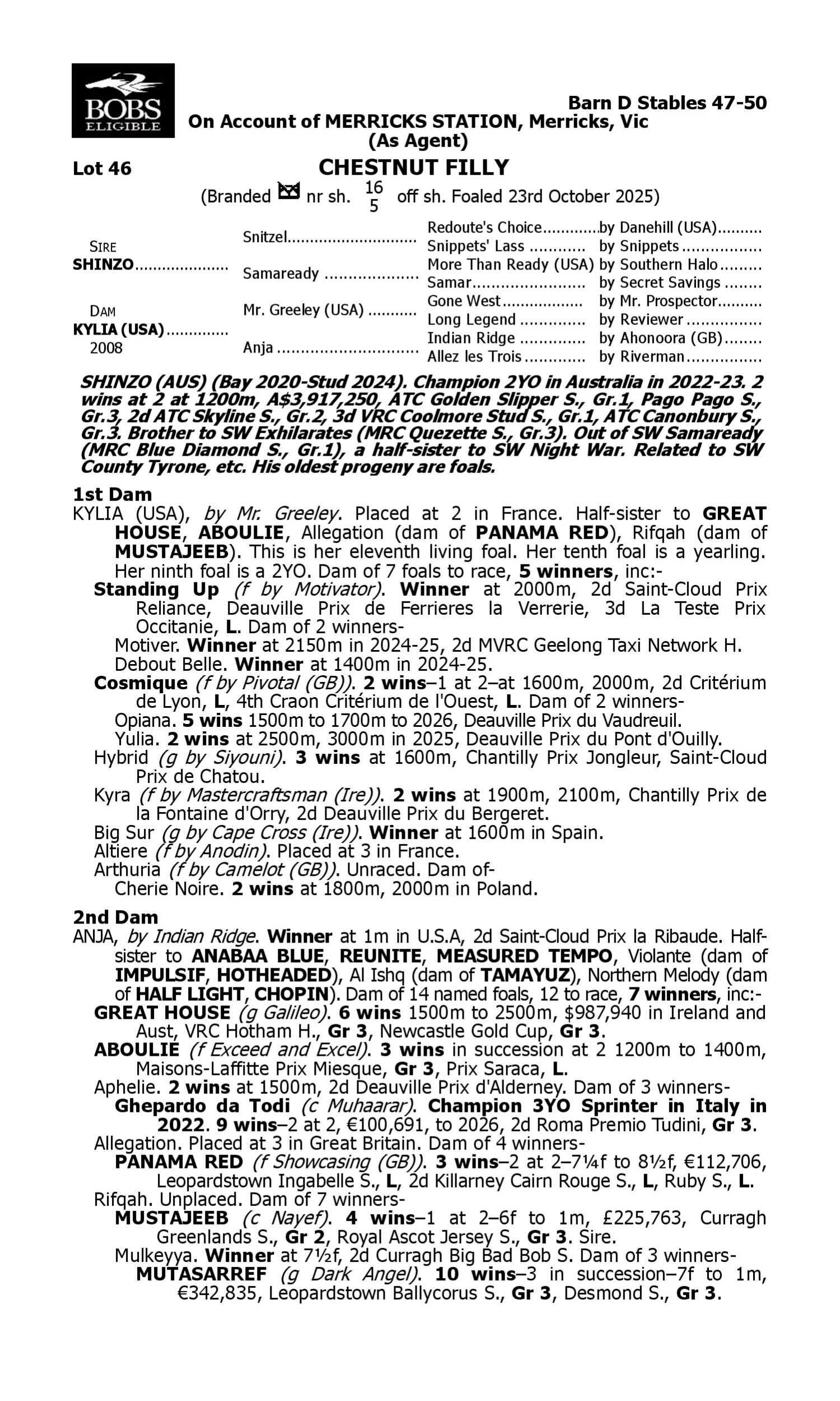 Pedigree for Lot 46 Shinzo - Kylia (USA)