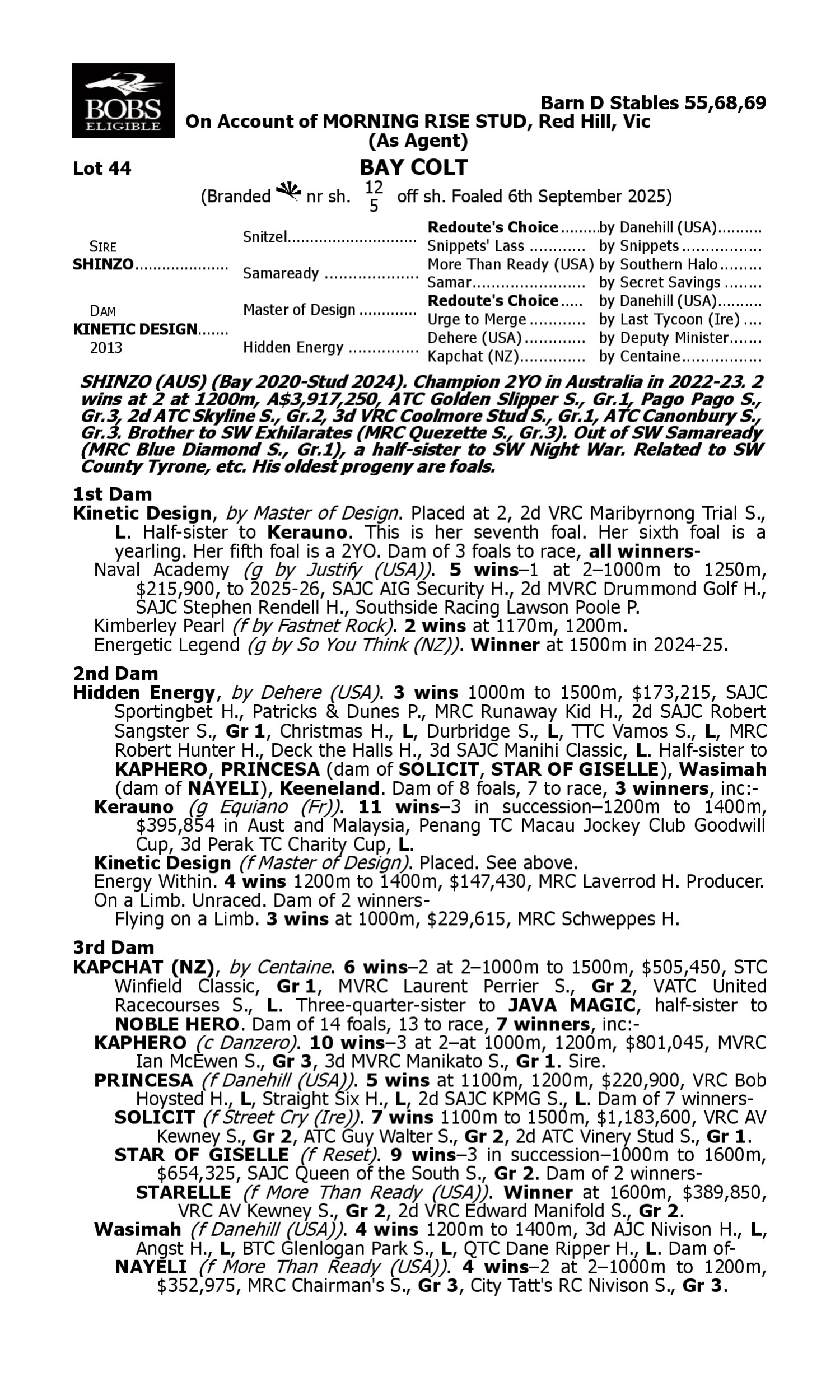 Pedigree for Lot 44 Shinzo - Kinetic Design