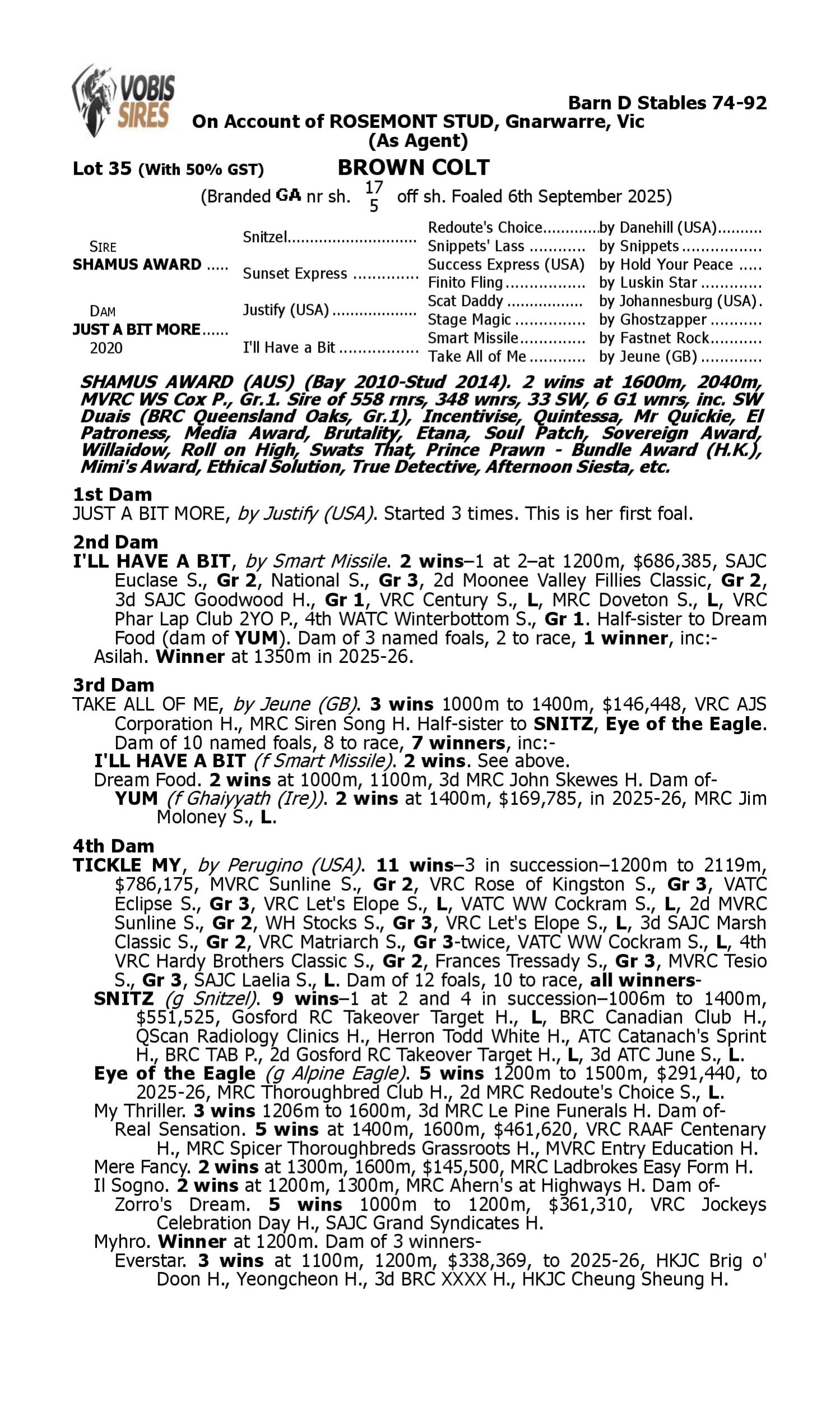 Pedigree for Lot 35 Shamus Award - Just a Bit More
