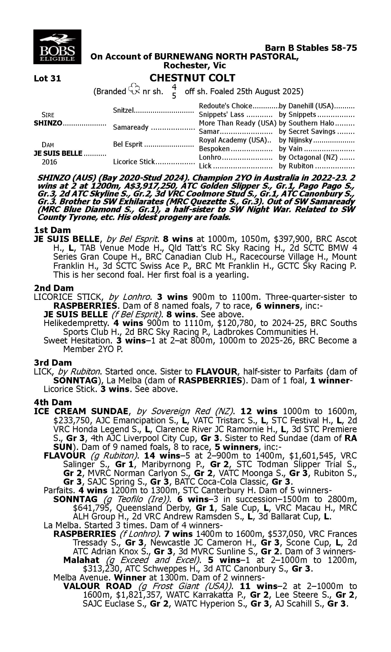 Pedigree for Lot 31 Shinzo - Je Suis Belle