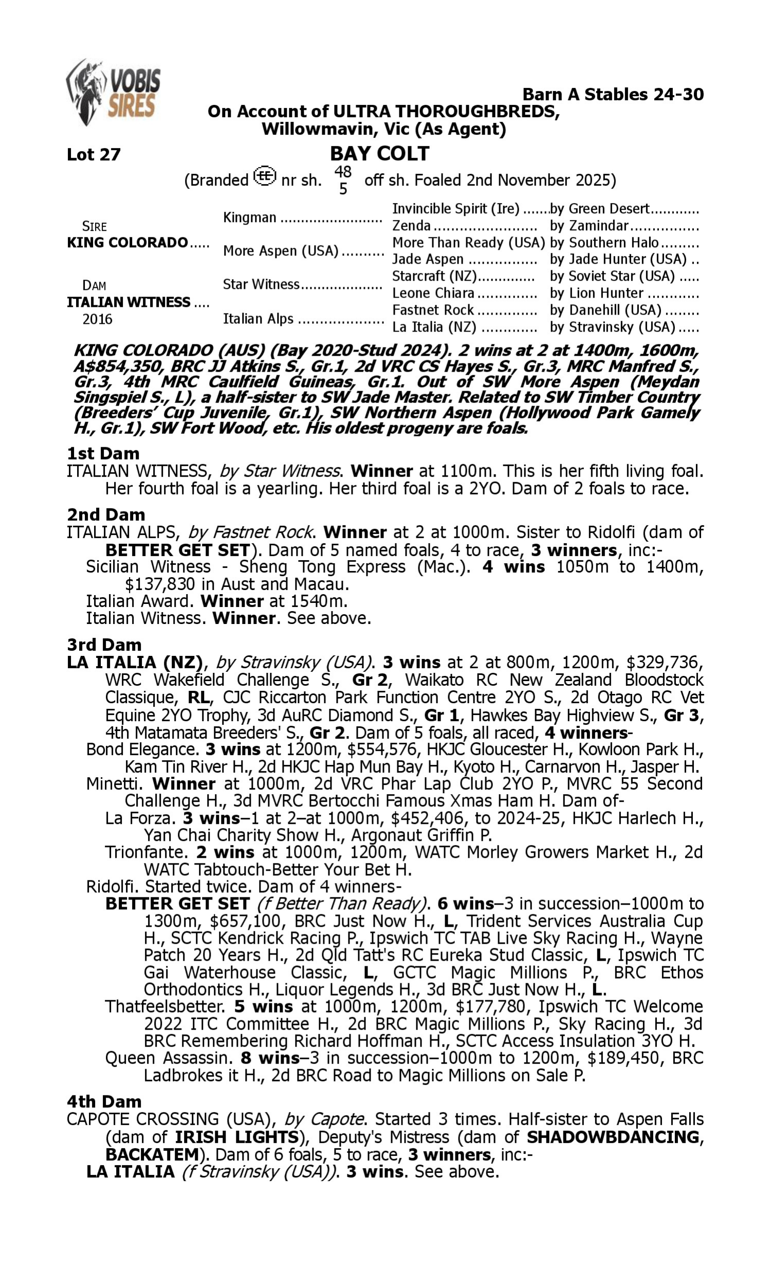Pedigree for Lot 27 King Colorado - Italian Witness