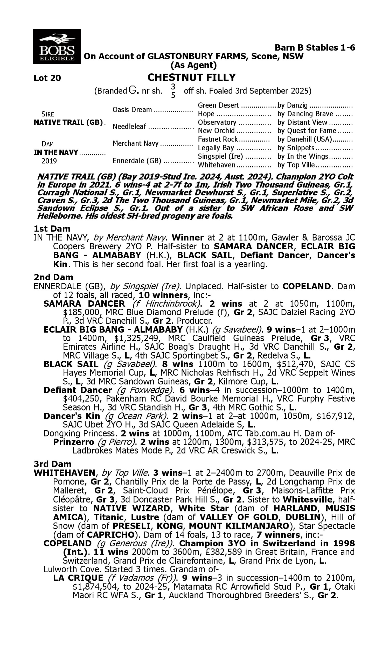 Pedigree for Lot 20 Native Trail (GB) - In the Navy