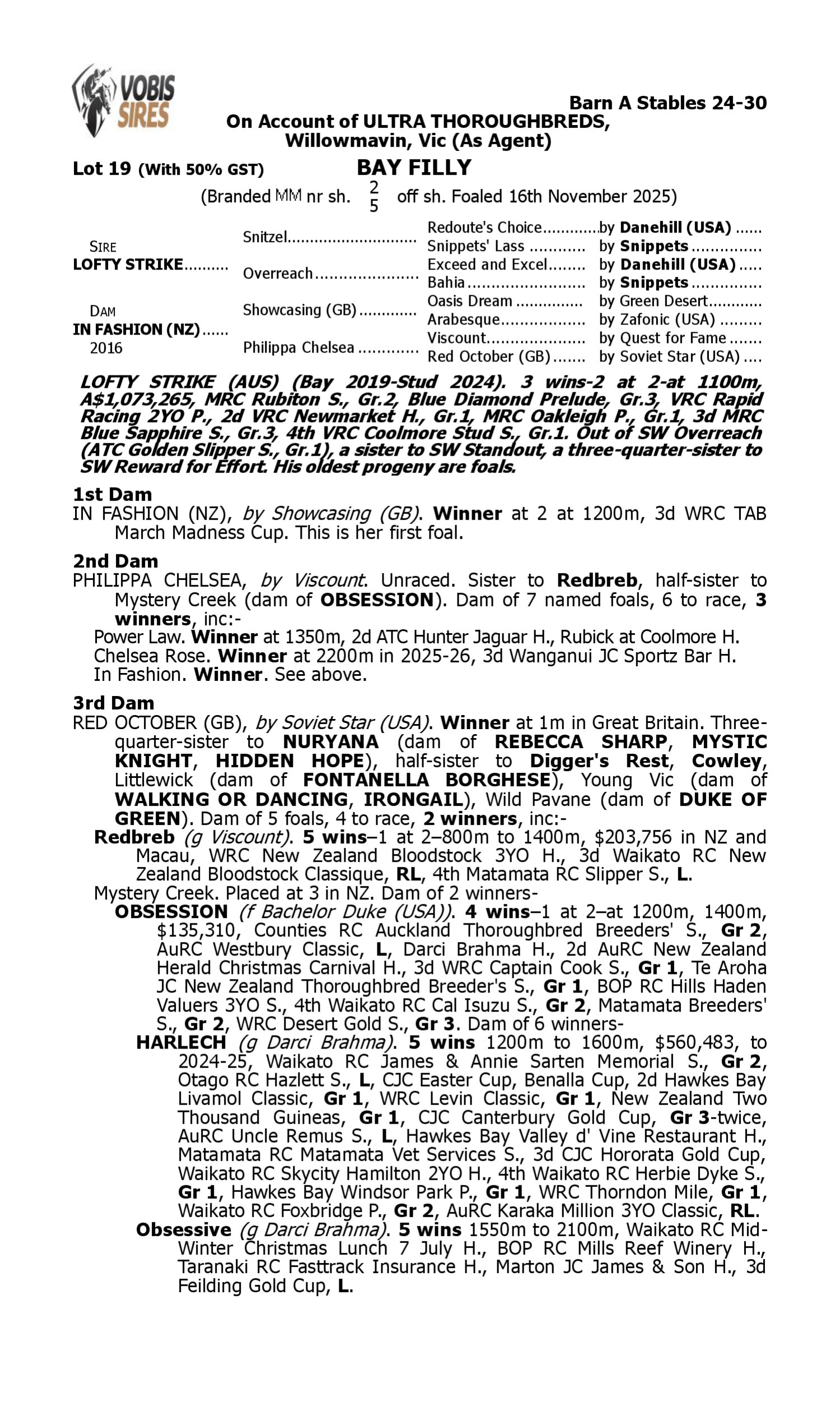 Pedigree for Lot 19 Lofty Strike - In Fashion (NZ)