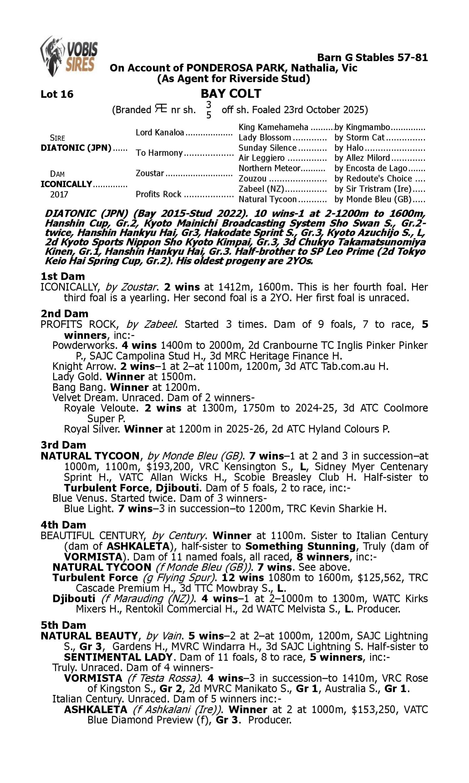 Pedigree for Lot 16 Diatonic (JPN) - Iconically