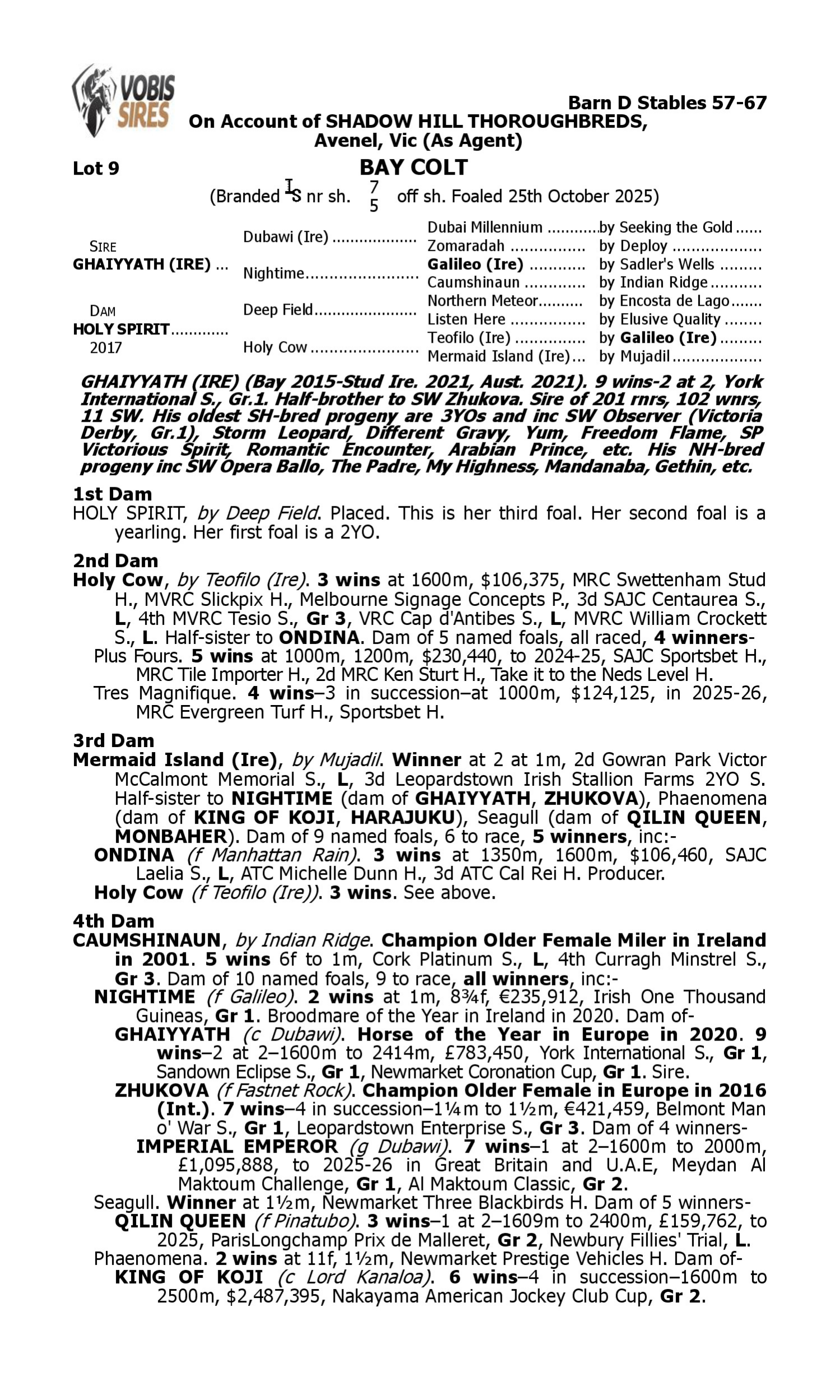Pedigree for Lot 9 Ghaiyyath (IRE) - Holy Spirit