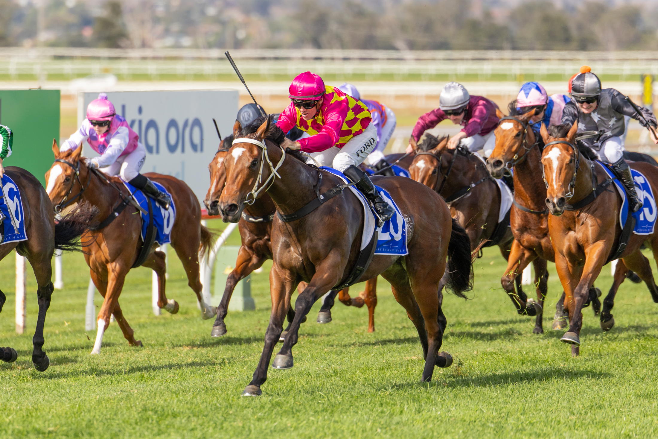 2YOs shine on successful day for Inglis graduates