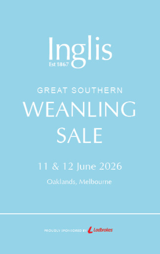 Progeny of hot young stallions headlines quality Great Southern catalogue