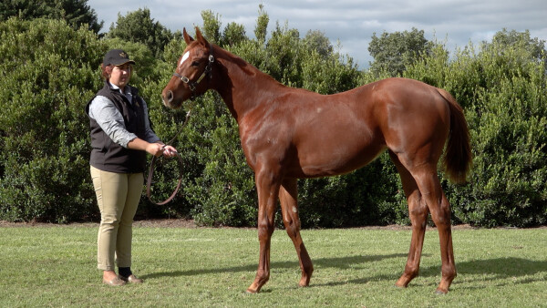 Lot 133: Dirty Work / Pimento