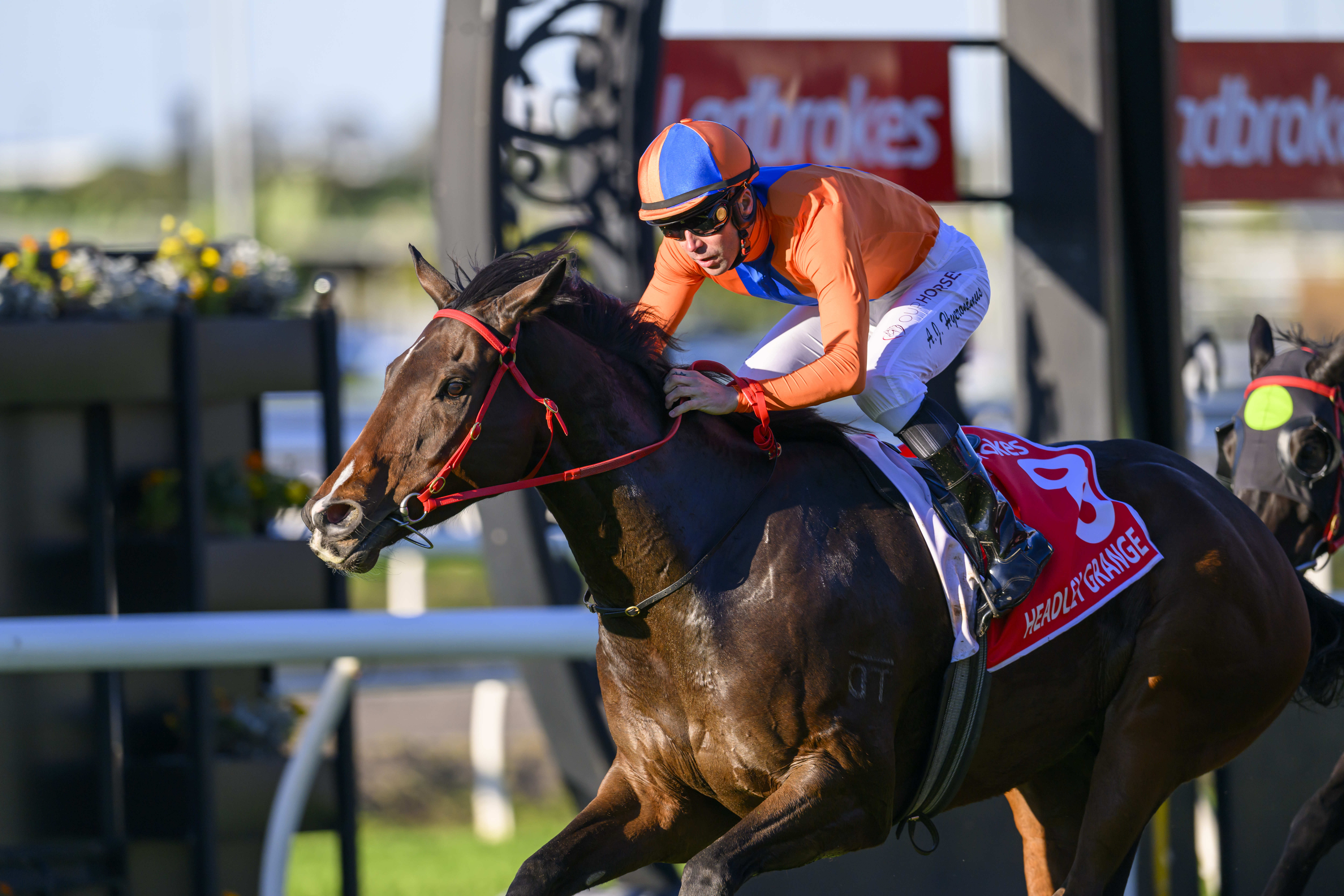 Inglis Digital delivers more G1 glory with Headley Grange 