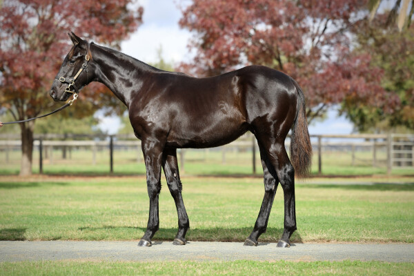 Lot 162: Written By / Rosie Riveter