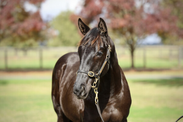 Lot 162: Written By / Rosie Riveter