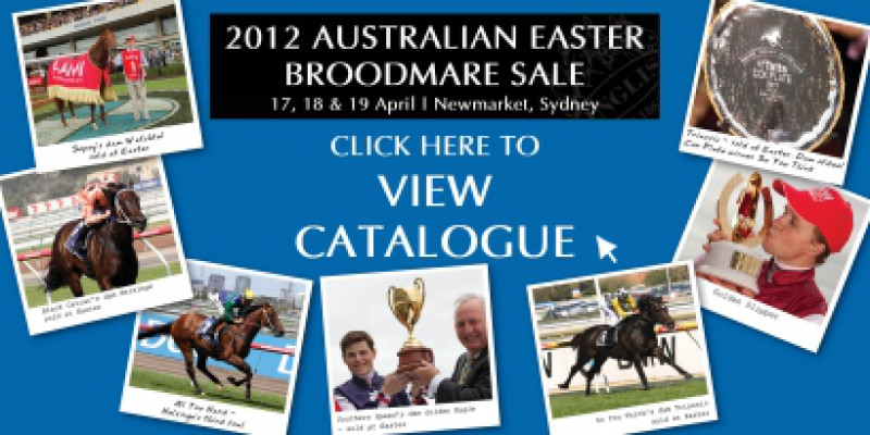 2012 Australian Easter Broodmare Sale