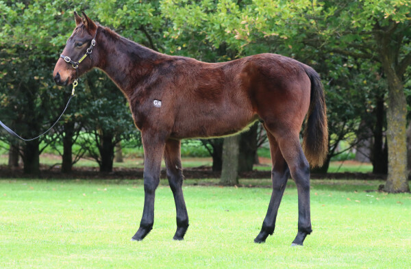 Lot 35: Shamus Award / Just a Bit More