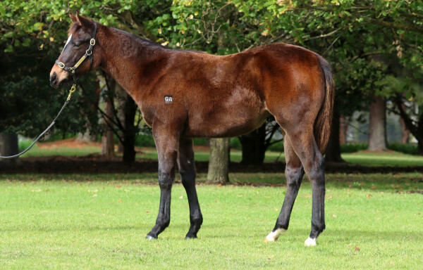 Lot 128: Exceedance / Our Secret Sister