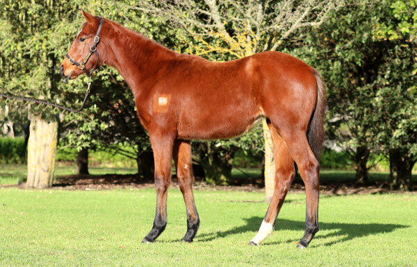 Lot 422: Shamus Award / Gigi Girl