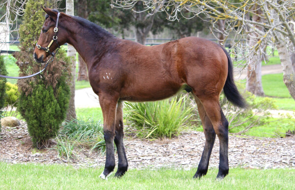 Lot 309: Dirty Work / Annah Haze