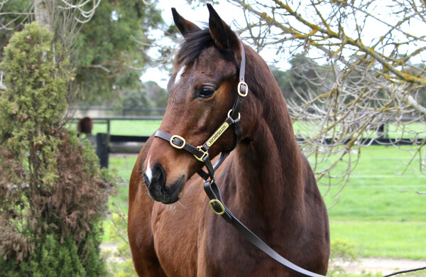 Lot 309: Dirty Work / Annah Haze