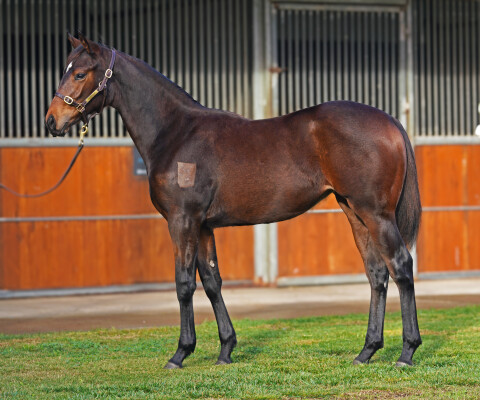 Lot 154: Dirty Work / Red Roses Too