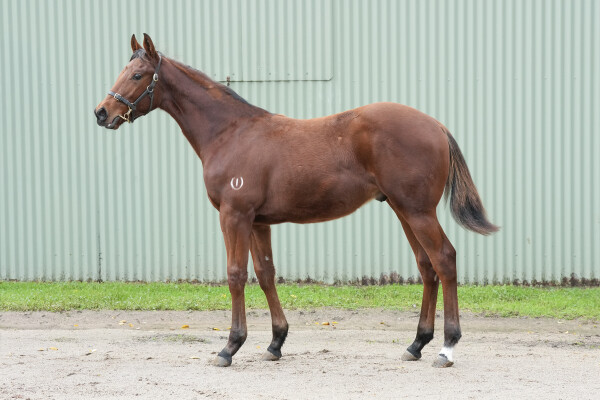 Lot 126: Overshare / Optimizing