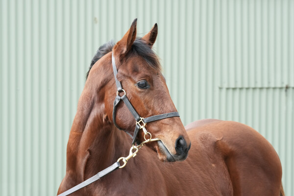 Lot 126: Overshare / Optimizing