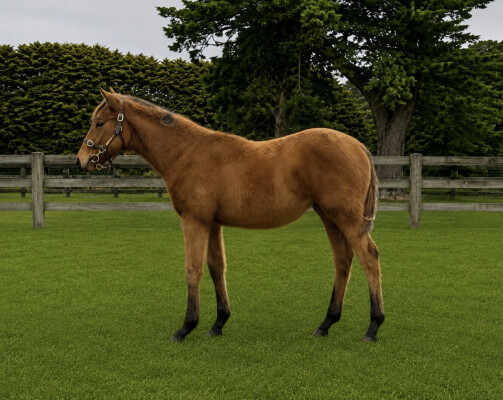 Lot 157: Fierce Impact (JPN) / Reward for Glory