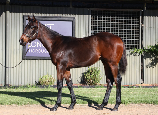 Lot 192: Dirty Work / Snitzcher