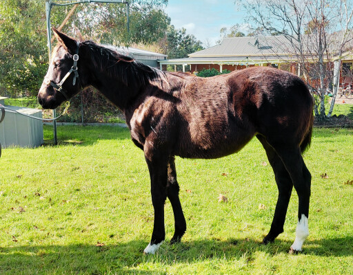 Lot 83: Dirty Work / Martindale Road