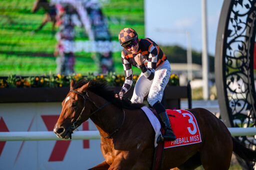 Fireball Miss becomes a G1 star for Bennett and Maher