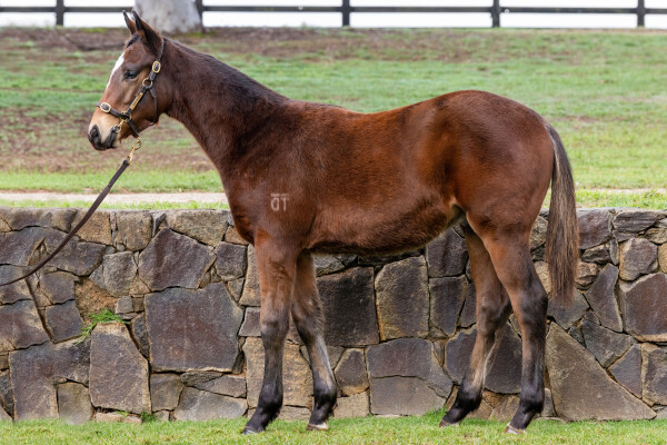 Lot 155: Lofty Strike / Redeeming Spirit