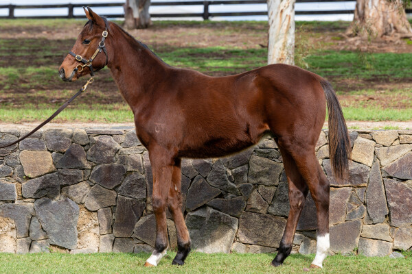 Lot 193: Profiteer / So Audacious